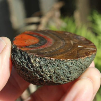 Warring States Carnelian red silk banded Agate 84g Rocks and Things