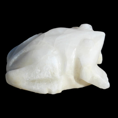 White Calcite hand-carved Frog 243g Rocks and Things