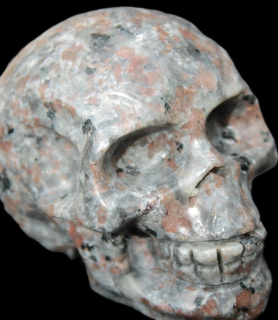 Yooperlite skull 367g Rocks and Things