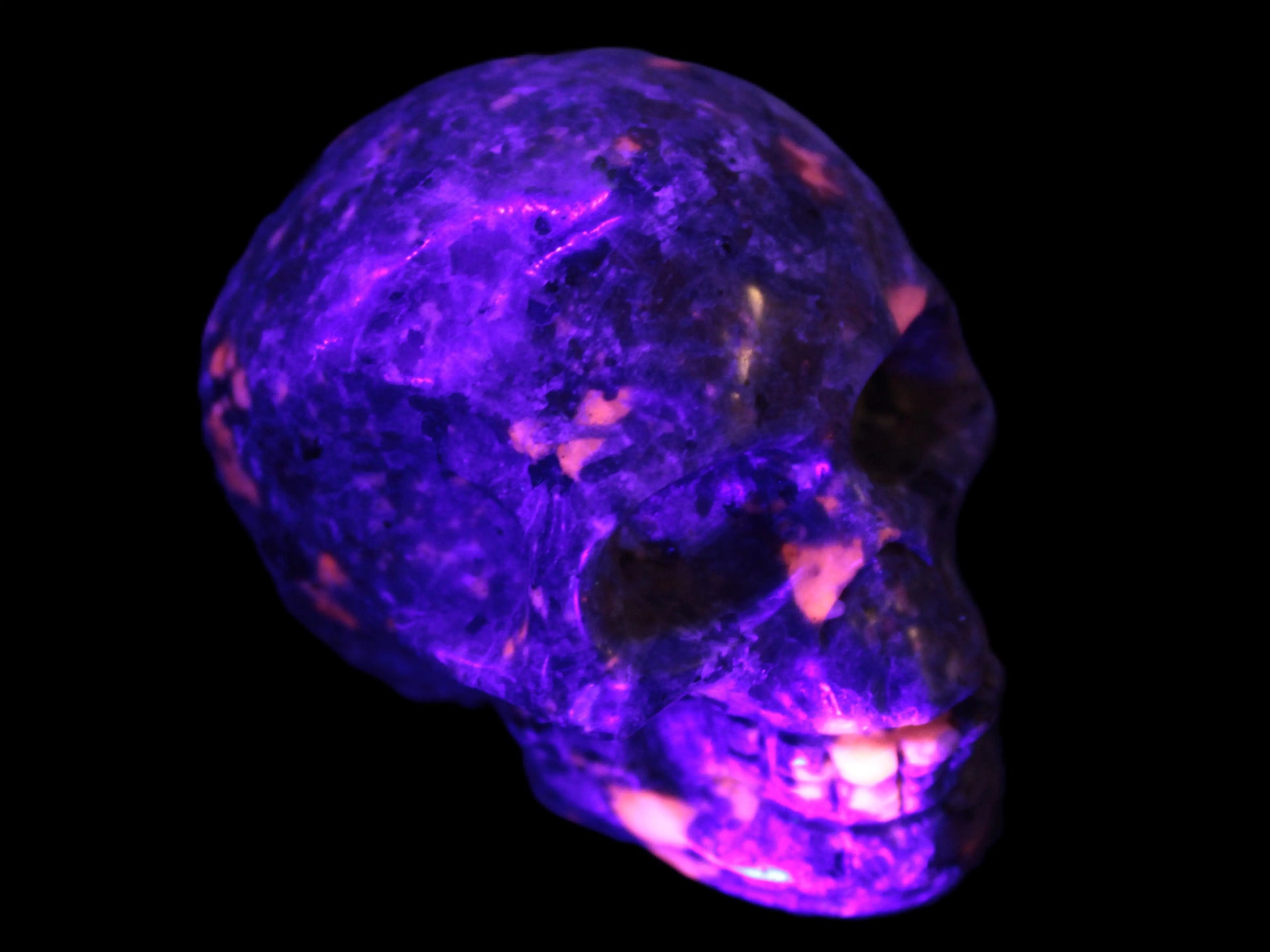 Yooperlite skull 367g Rocks and Things