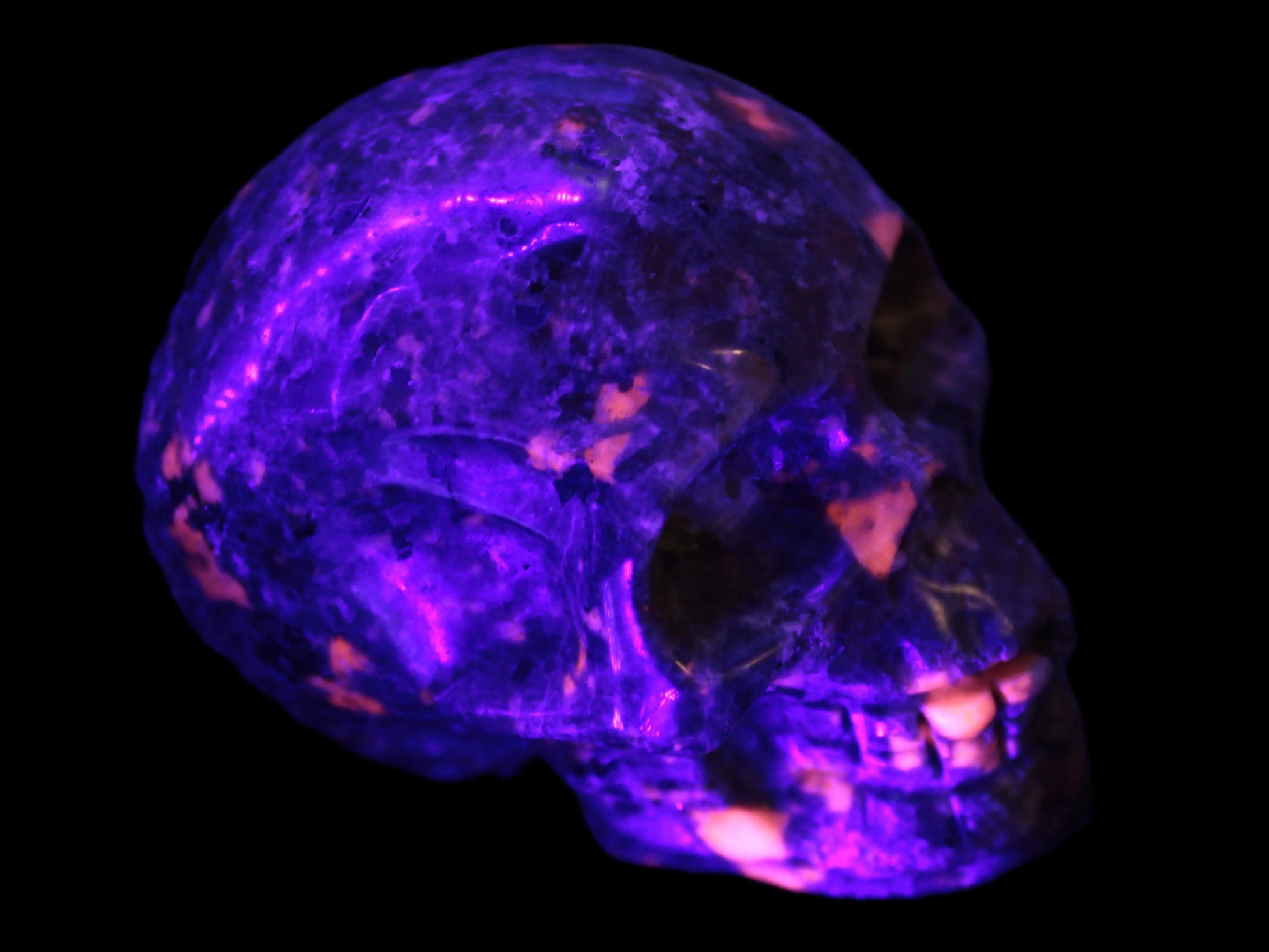 Yooperlite skull 367g Rocks and Things