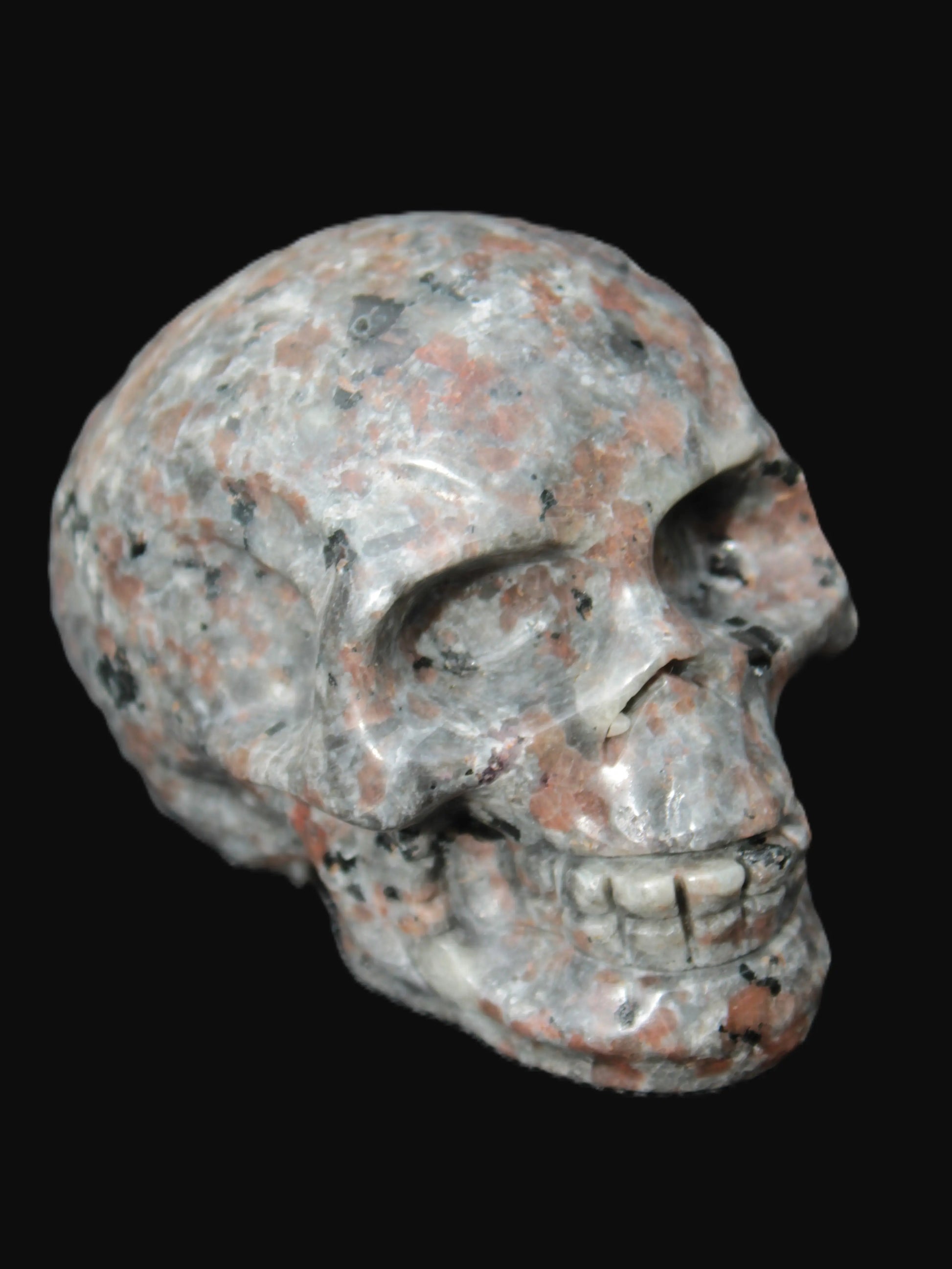 Yooperlite skull 367g Rocks and Things