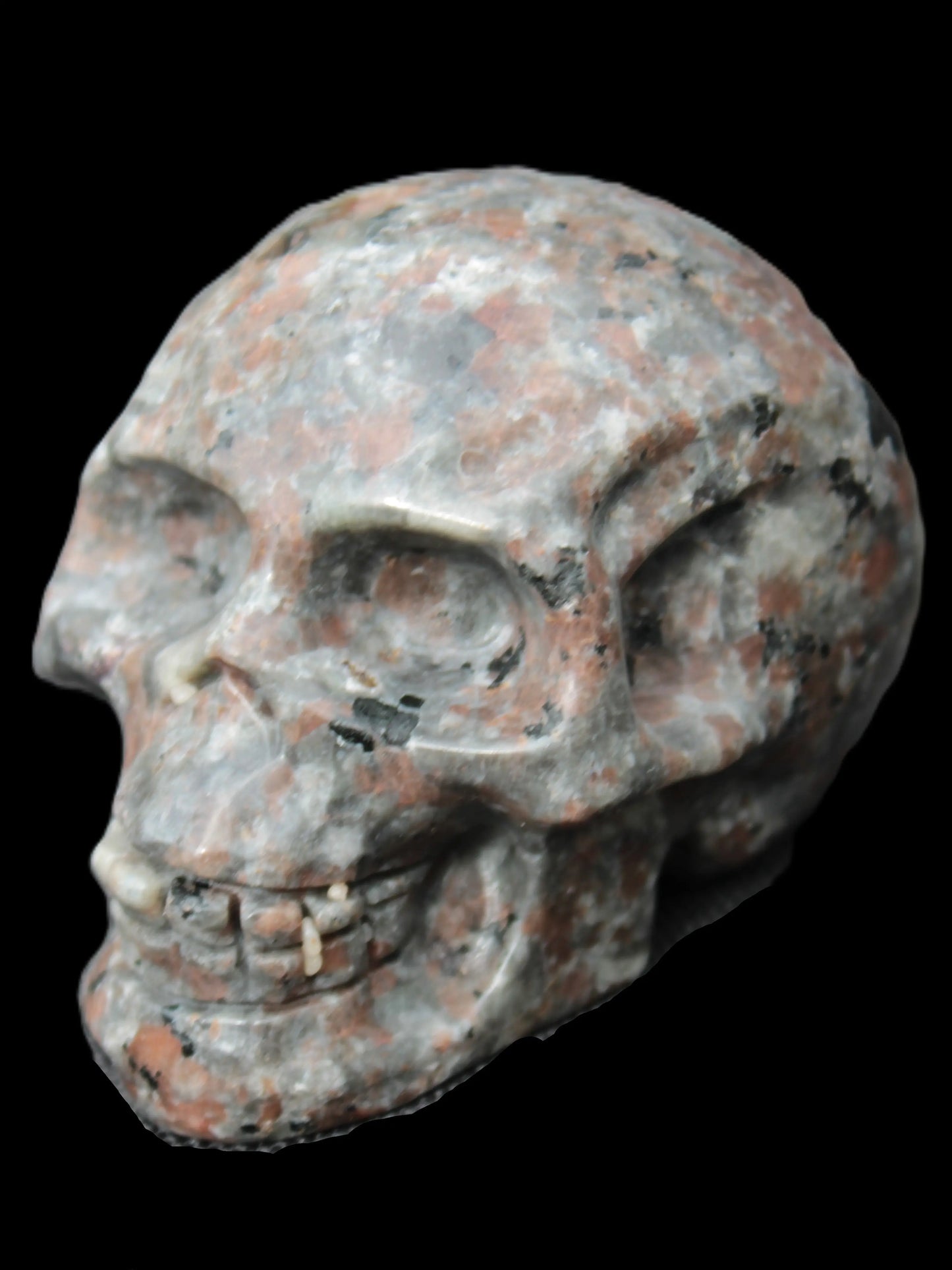 Yooperlite skull 367g Rocks and Things