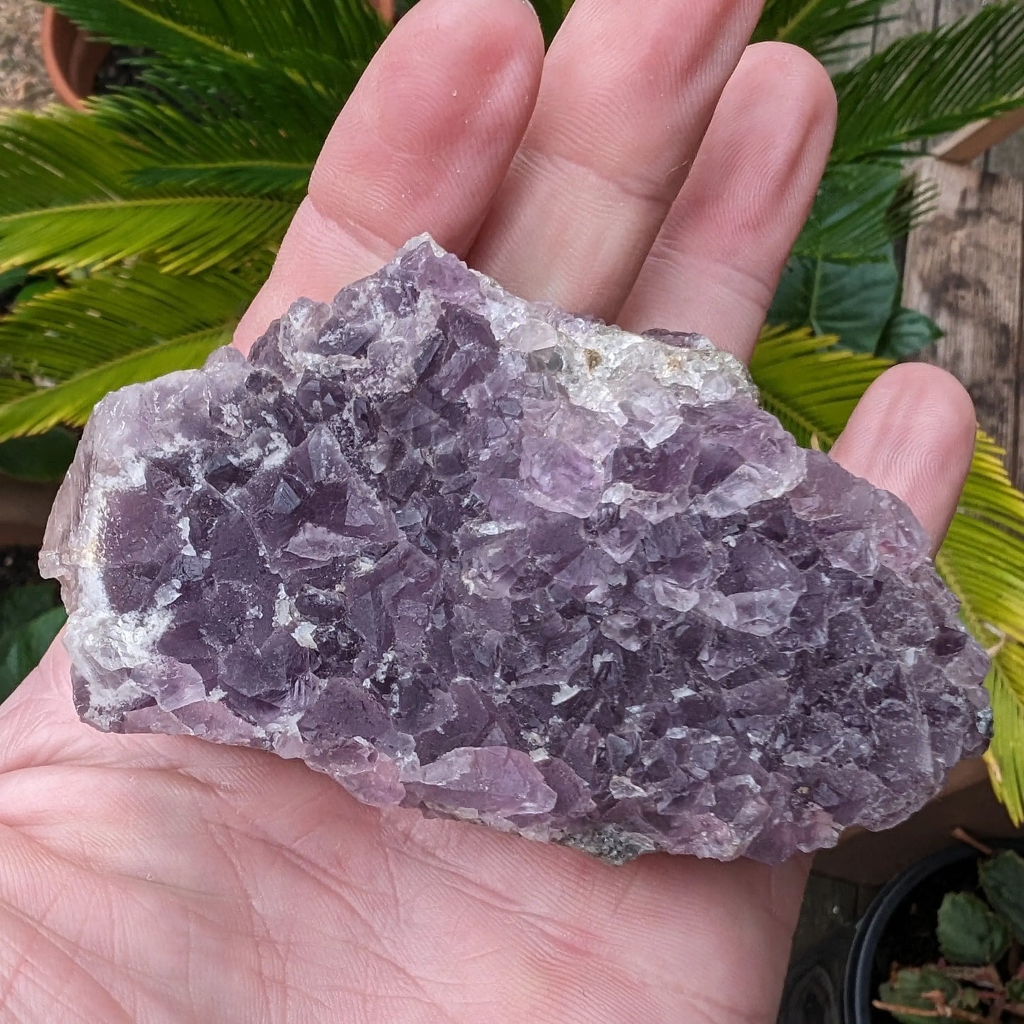 Purple/green Fluorite cluster 243g Rocks and Things