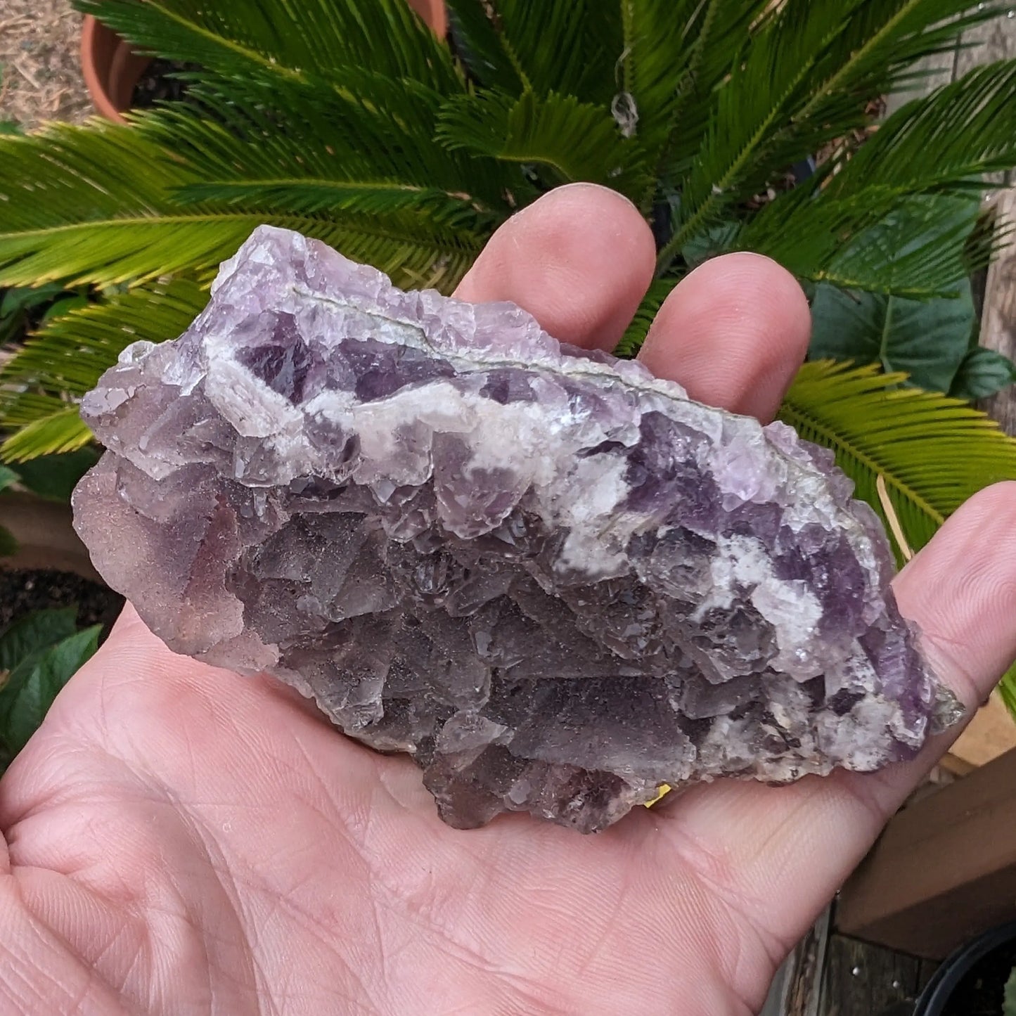 Purple/green Fluorite cluster 243g Rocks and Things