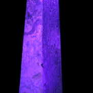 Caribbean Calcite obelisk 263*54*56mm 1271g in UV light - Rocks and Things Store