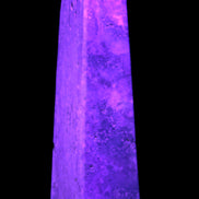 Caribbean Calcite obelisk 263*54*56mm 1271g in UV light - Rocks and Things Store