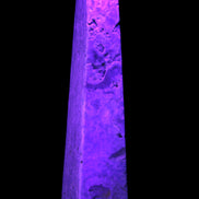 Caribbean Calcite obelisk 263*54*56mm 1271g in UV light - Rocks and Things Store