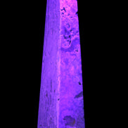 Caribbean Calcite obelisk 263*54*56mm 1271g in UV light - Rocks and Things Store