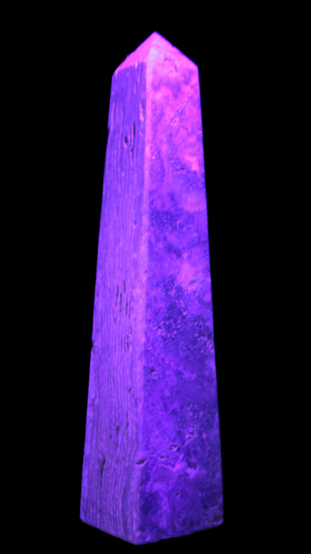 Caribbean Calcite obelisk 263*54*56mm 1271g in UV light - Rocks and Things Store