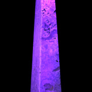 Caribbean Calcite obelisk 263*54*56mm 1271g in UV light - Rocks and Things Store