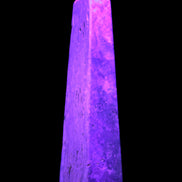 Caribbean Calcite obelisk 263*54*56mm 1271g in UV light - Rocks and Things Store