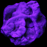 Blue Aragonite specimen 68*40*65mm 156g in sunlight - Rocks and Things Store