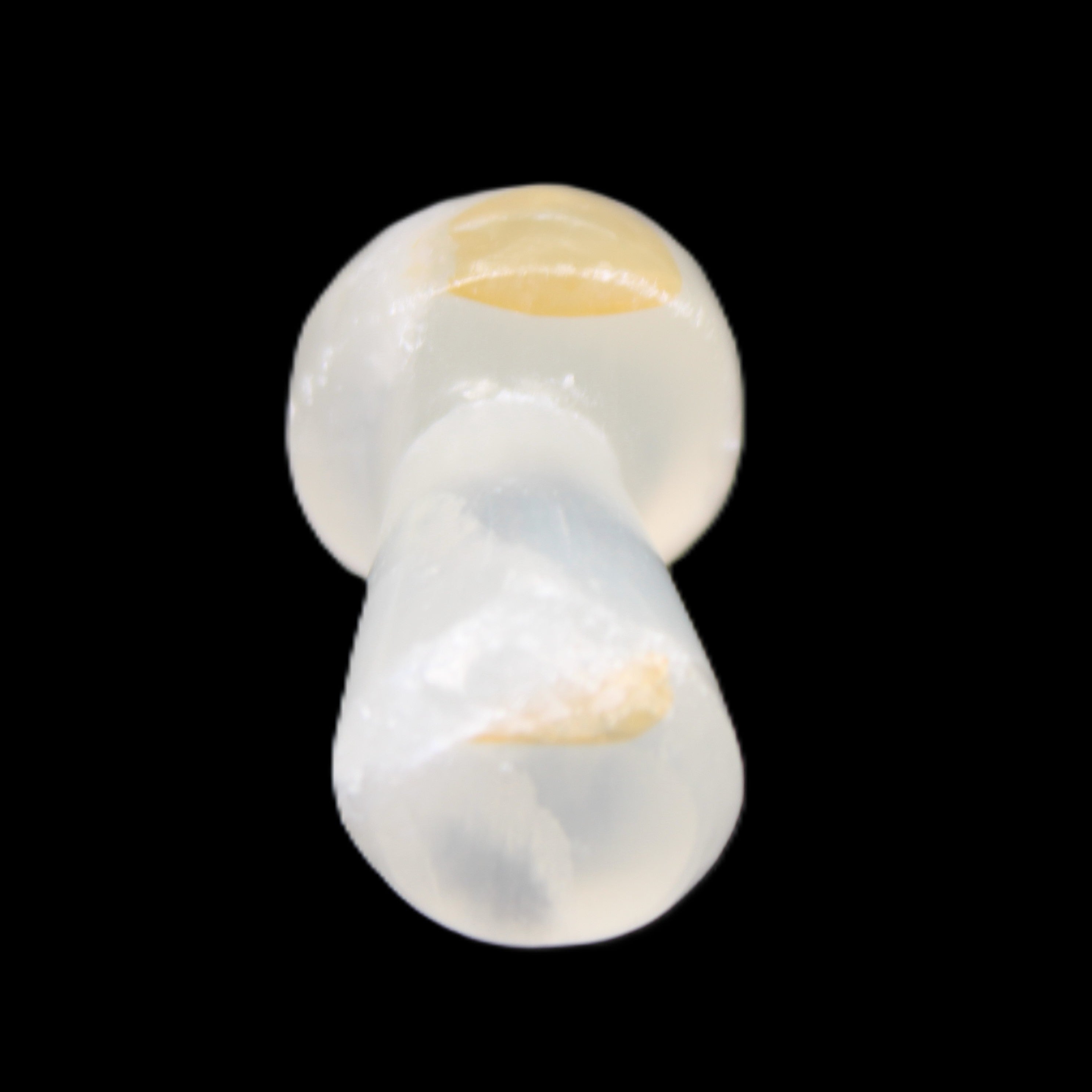 Clear Yellow Calcite mushroom 26-31mm 10-11g in sunlight - Rocks and Things Store
