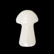 Clear Yellow Calcite mushroom 26-31mm 10-11g in sunlight - Rocks and Things Store