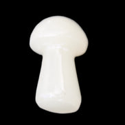 Clear Yellow Calcite mushroom 26-31mm 10-11g in sunlight - Rocks and Things Store