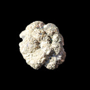 Chalcopyrite cluster from Pakistan 28*22*13mm 17g in sunlight - Rocks and Things Store