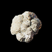 Chalcopyrite cluster from Pakistan 28*22*13mm 17g in sunlight - Rocks and Things Store