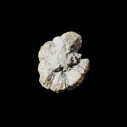 Chalcopyrite cluster from Pakistan 28*22*13mm 17g in sunlight - Rocks and Things Store