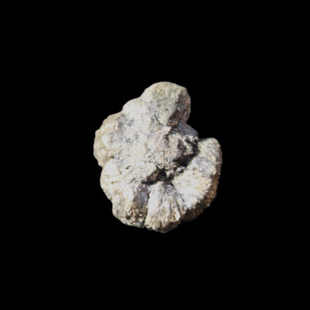 Chalcopyrite cluster from Pakistan 28*22*13mm 17g in sunlight - Rocks and Things Store