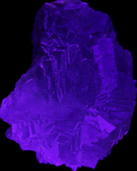Clear Fluorite cubic stepped cluster 104*72*50mm 660g in UV light - Rocks and Things Store