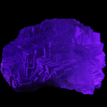 Clear Fluorite cubic stepped cluster 104*72*50mm 660g in UV light - Rocks and Things Store