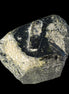 Epidote cluster large from Afghanistan 131.8g in sunshine - Rocks and Things Store
