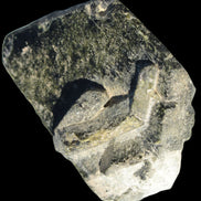 Epidote cluster large from Afghanistan 131.8g in sunshine - Rocks and Things Store