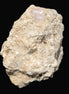 Pink Topaz with Green Tourmaline in Muscovite/Feldspar matrix 99.5g Rocks and Things
