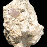 Pink Topaz with Green Tourmaline in Muscovite/Feldspar matrix 99.5g in sunlight  - Rocks and Things Store