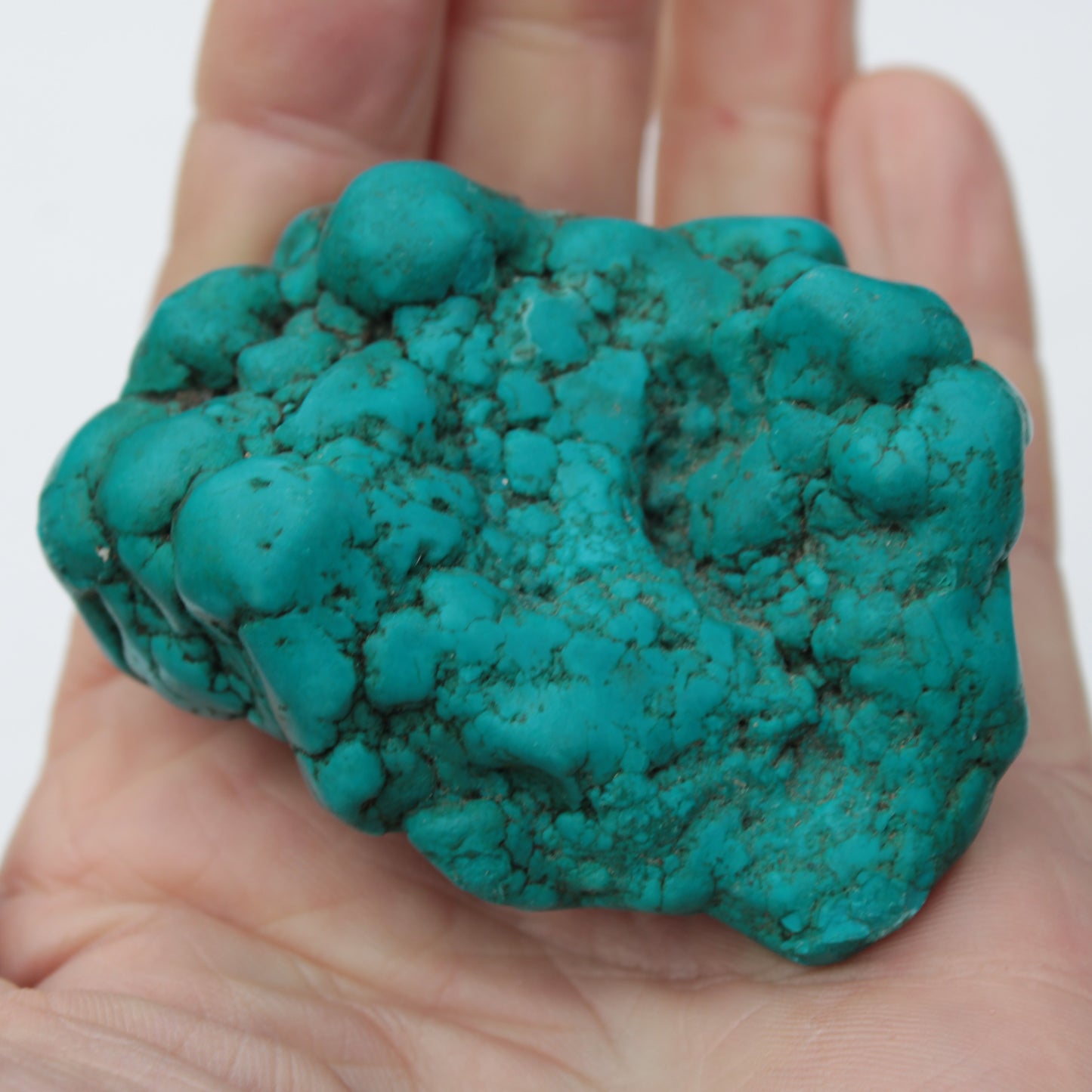 Persian Turquoise 141g Rocks and Things