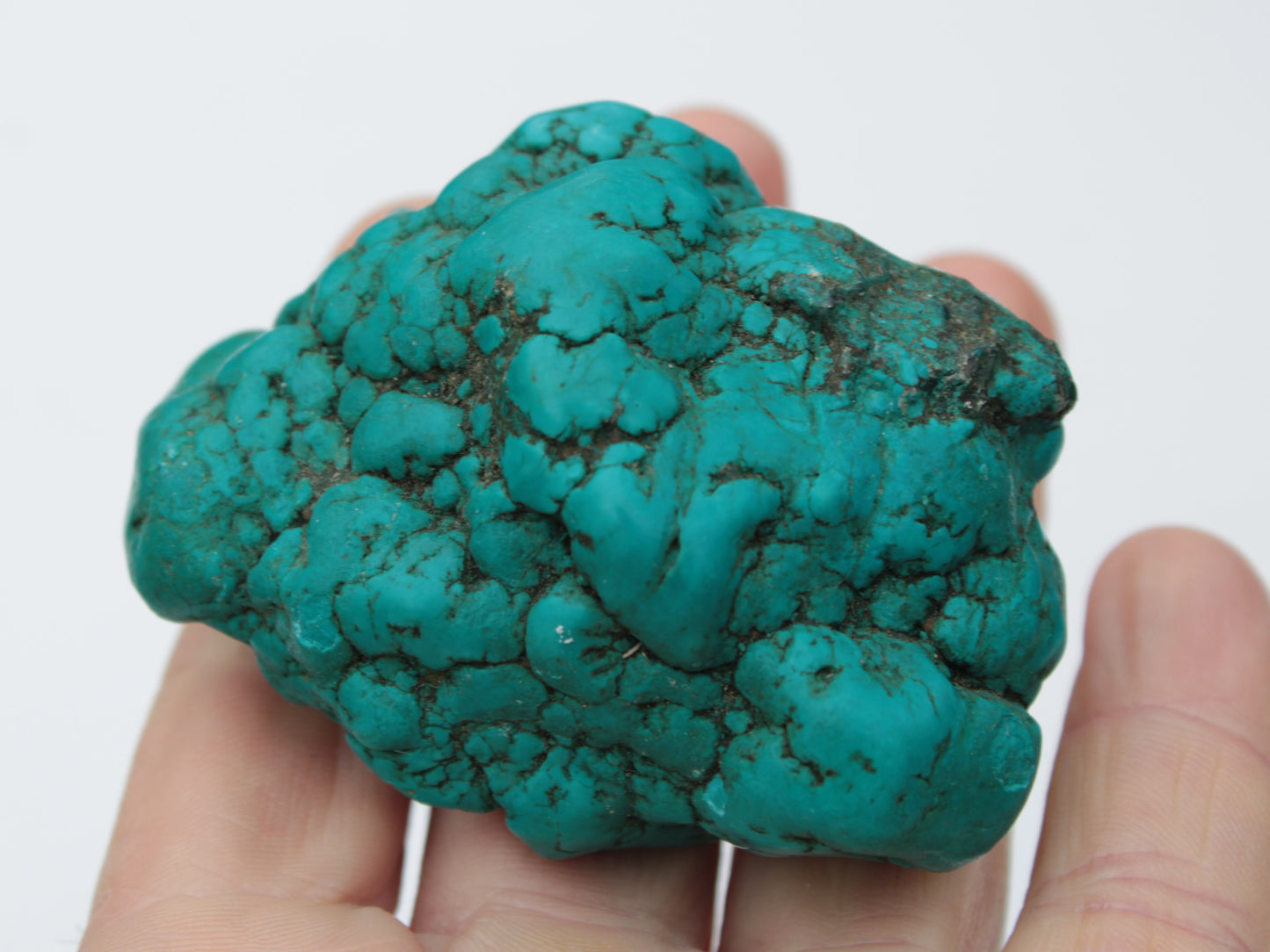 Persian Turquoise 141g Rocks and Things