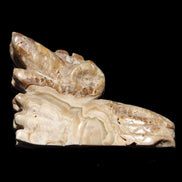 Chocolate Calcite Dragon's head hand-carved 118*41*85mm 494g in sunlight - Rocks and Things Store