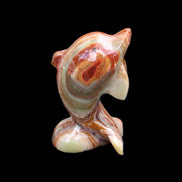 Colouful Afghan Jade Leaping Dolphin hand-carved 83*53*33mm 184g in sunlight - Rocks and Things Store