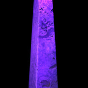 Caribbean Calcite obelisk 263*54*56mm 1271g in UV light - Rocks and Things Store