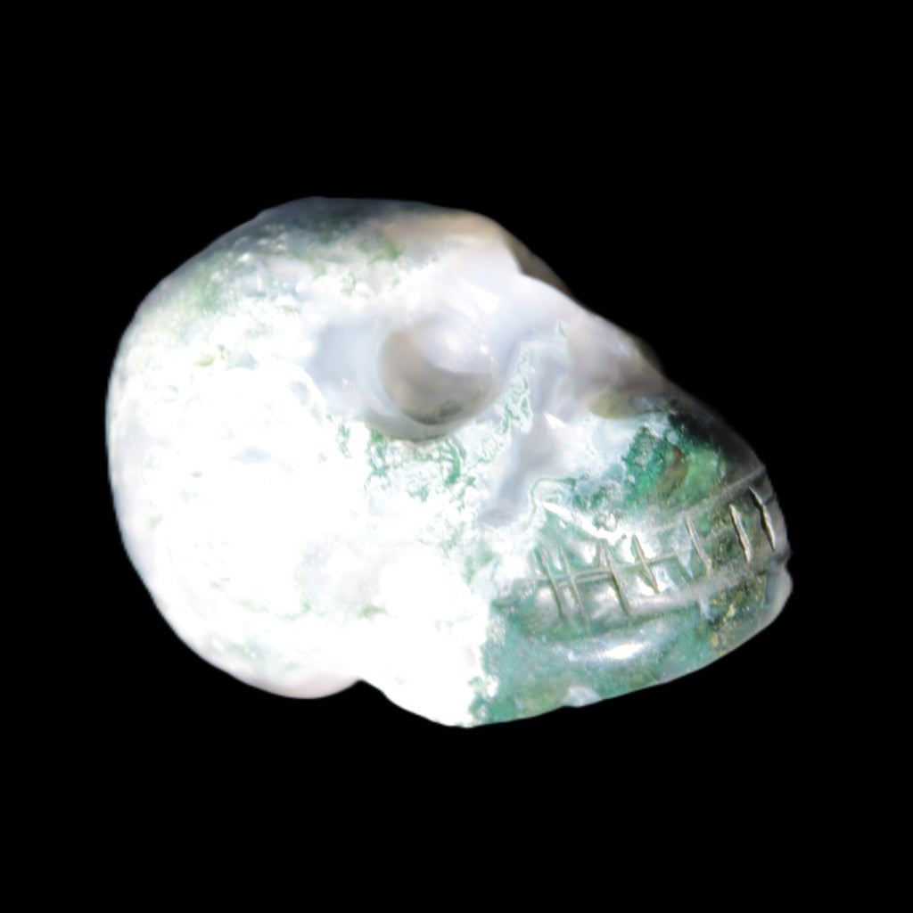 Moss Agate skull 47*30*32mm 57g Rocks and Things Store