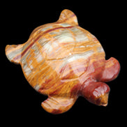 Afghan Jade hand-carved Turtle 100*72*35mm 270g in sunlight - Rocks and Things Store