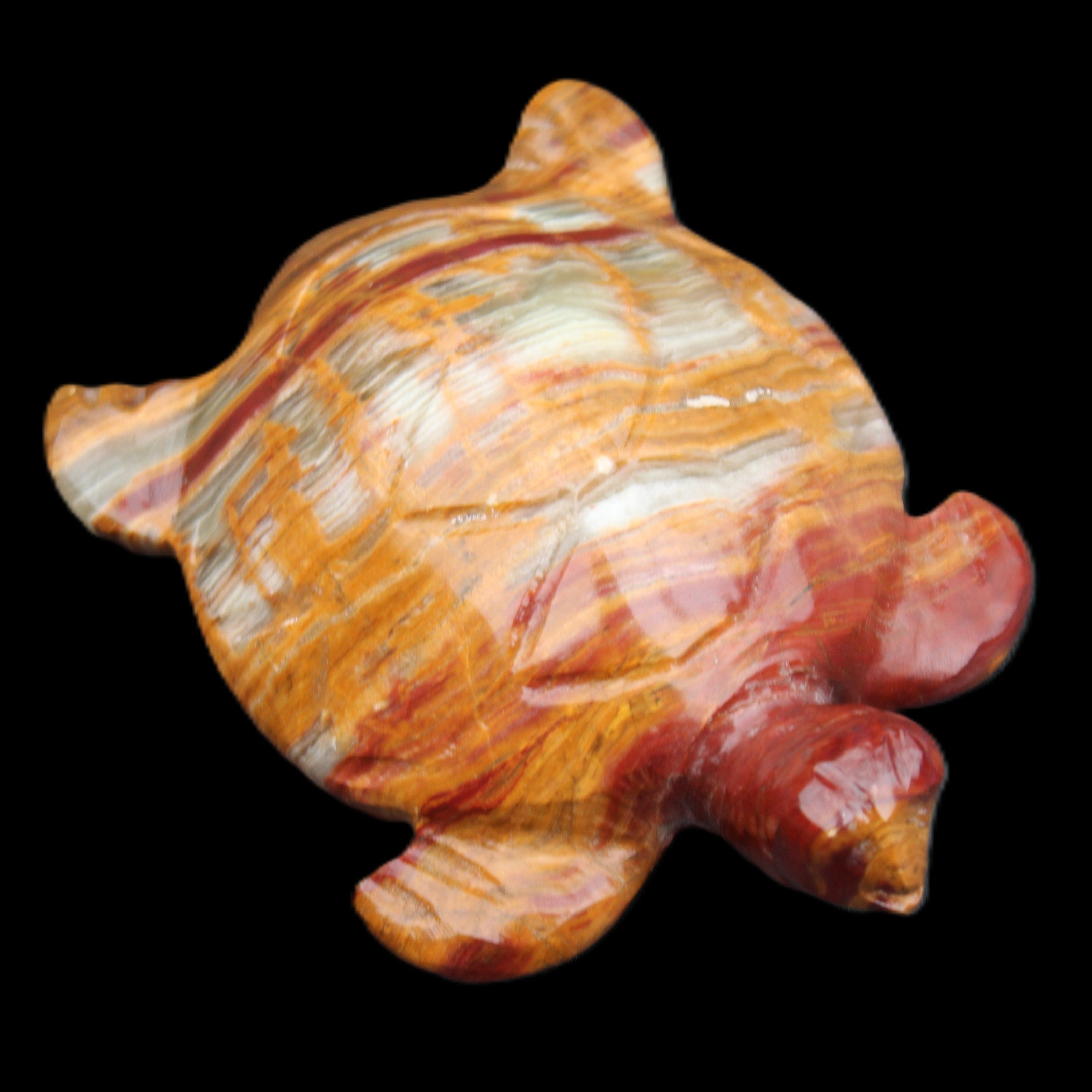 Afghan Jade hand-carved Turtle 100*72*35mm 270g in sunlight - Rocks and Things Store