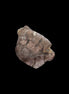 Augelite pink/yellow crystal from Pakistan 8.5ct 1.7g - Rocks and Things Store